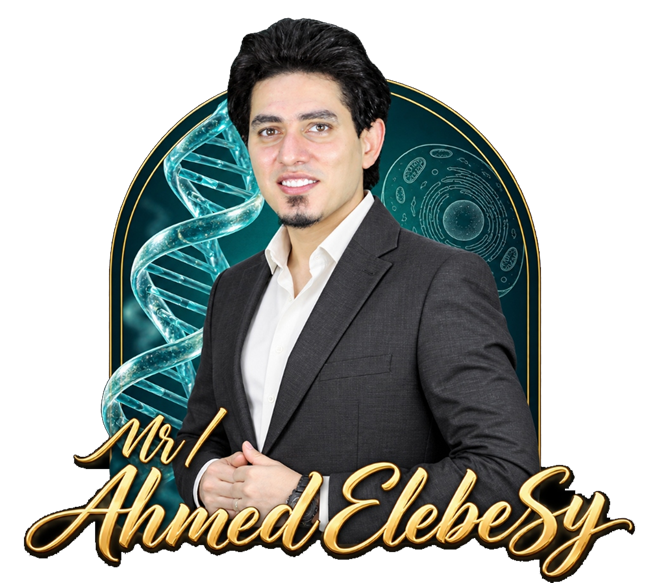 مستر أحمد العبيسي
